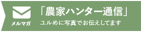 メールマガジン