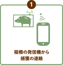 箱柵の発信機から捕獲の連絡